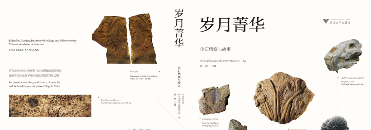 香港宝典免费资料网